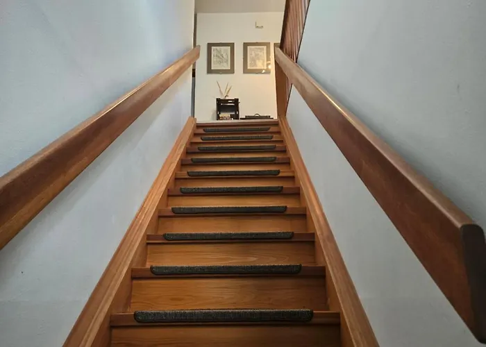 Pfalzpanorama Apartament